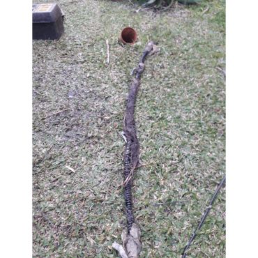 destapaciones cloacales 24 horas